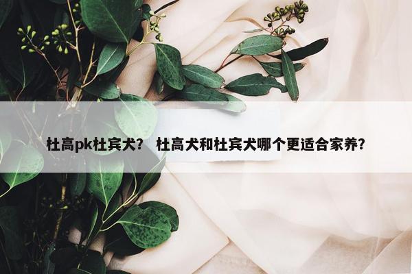 杜高pk杜宾犬？ 杜高犬和杜宾犬哪个更适合家养？
