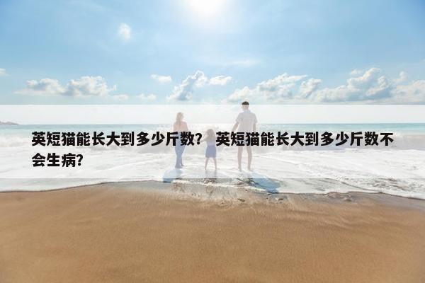英短猫能长大到多少斤数？ 英短猫能长大到多少斤数不会生病？