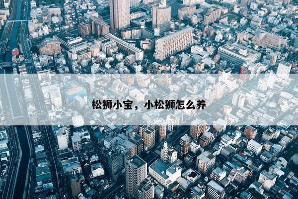 松狮小宝，小松狮怎么养