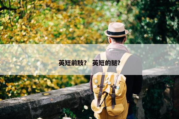 英短前肢？ 英短的腿？