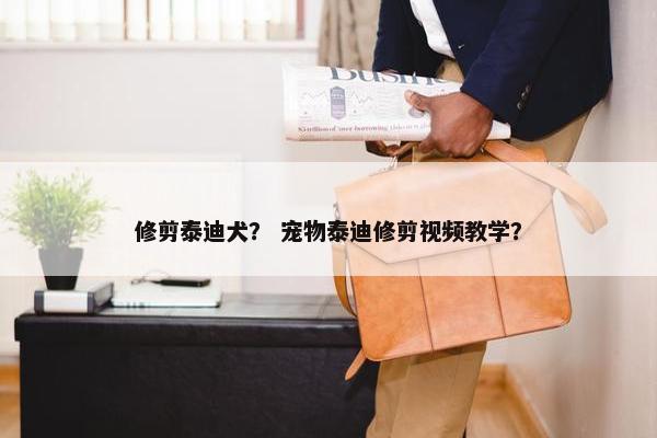 修剪泰迪犬？ 宠物泰迪修剪视频教学？