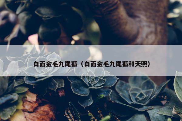 白面金毛九尾狐（白面金毛九尾狐和天照）