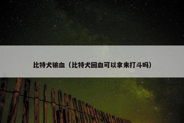 比特犬输血（比特犬回血可以拿来打斗吗）