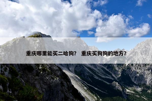重庆哪里能买二哈狗？ 重庆买狗狗的地方？