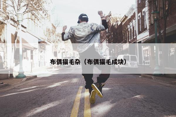布偶猫毛杂（布偶猫毛成块）