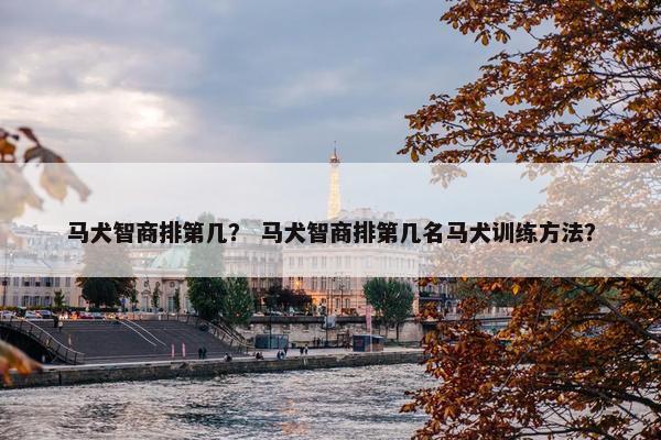 马犬智商排第几？ 马犬智商排第几名马犬训练方法？