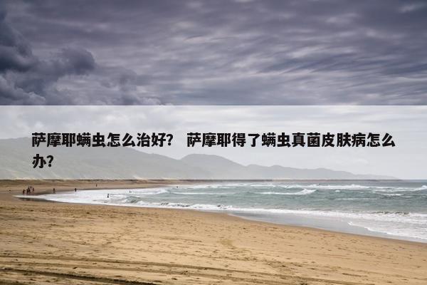 萨摩耶螨虫怎么治好？ 萨摩耶得了螨虫真菌皮肤病怎么办？