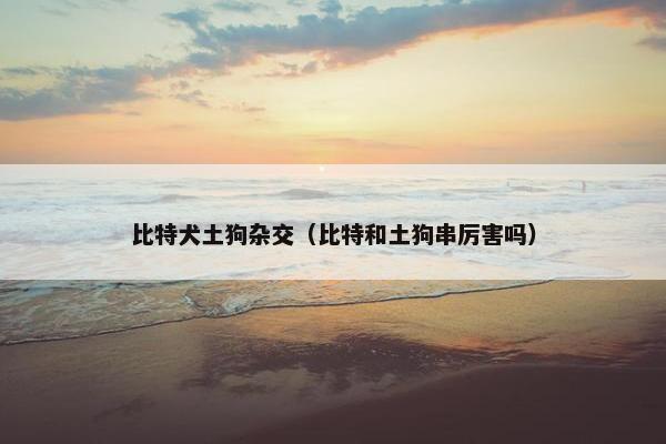 比特犬土狗杂交（比特和土狗串厉害吗）