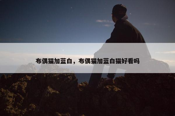 布偶猫加蓝白，布偶猫加蓝白猫好看吗