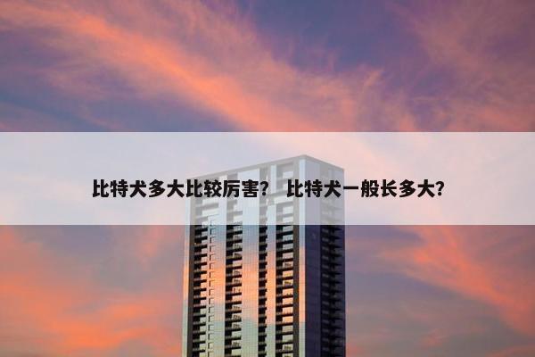比特犬多大比较厉害？ 比特犬一般长多大？