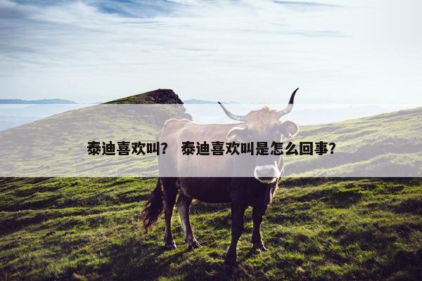 泰迪喜欢叫？ 泰迪喜欢叫是怎么回事？