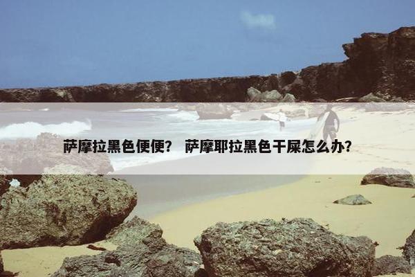 萨摩拉黑色便便？ 萨摩耶拉黑色干屎怎么办？