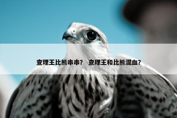 查理王比熊串串？ 查理王和比熊混血？