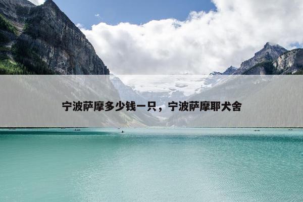 宁波萨摩多少钱一只，宁波萨摩耶犬舍