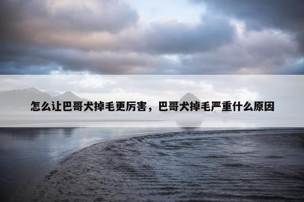怎么让巴哥犬掉毛更厉害，巴哥犬掉毛严重什么原因