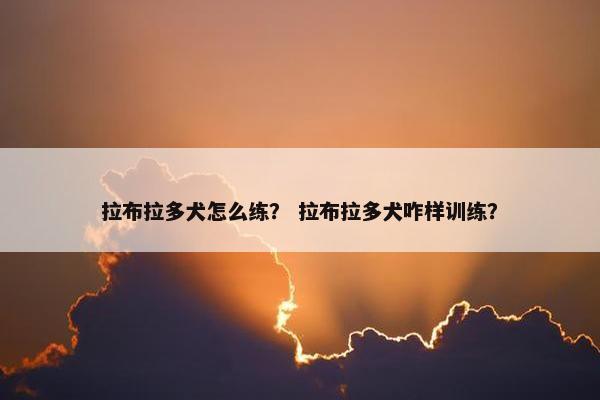拉布拉多犬怎么练？ 拉布拉多犬咋样训练？