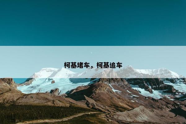 柯基堵车，柯基追车