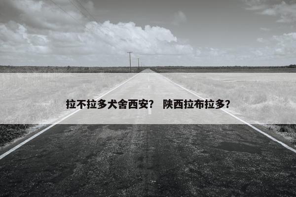 拉不拉多犬舍西安？ 陕西拉布拉多？