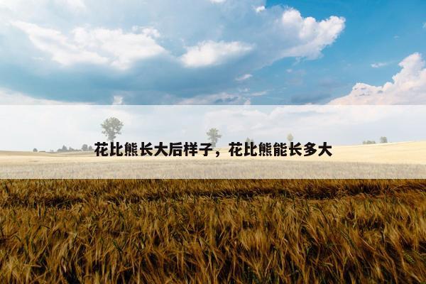 花比熊长大后样子,花比熊能长多大 花比熊长大后样子,花比熊能长多大