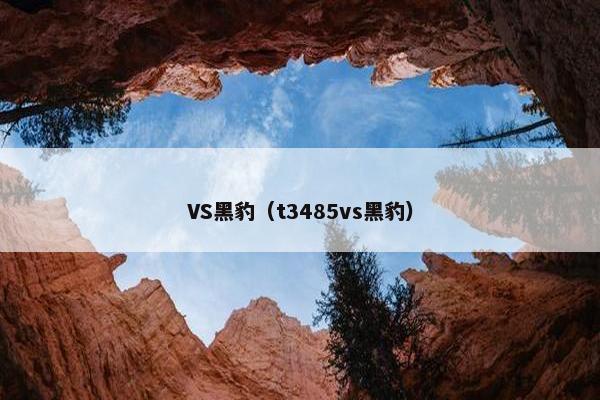 VS黑豹(t3485vs黑豹) VS黑豹(t3485vs黑豹)