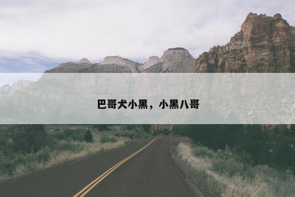 巴哥犬小黑，小黑八哥