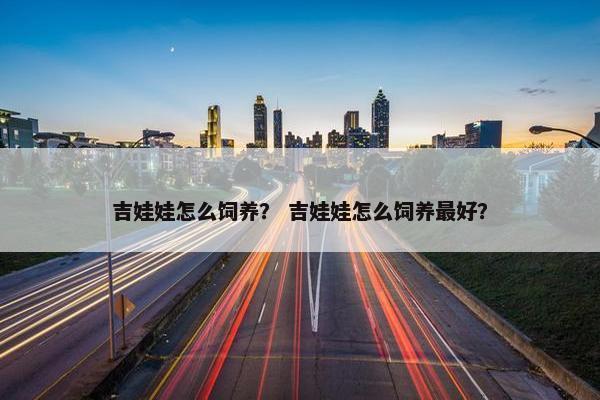 吉娃娃怎么饲养? 吉娃娃怎么饲养最好? 吉娃娃怎么饲养? 吉娃娃怎么饲养最好?