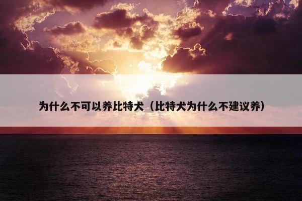 为什么不可以养比特犬(比特犬为什么不建议养) 为什么不可以养比特犬(比特犬为什么不建议养)
