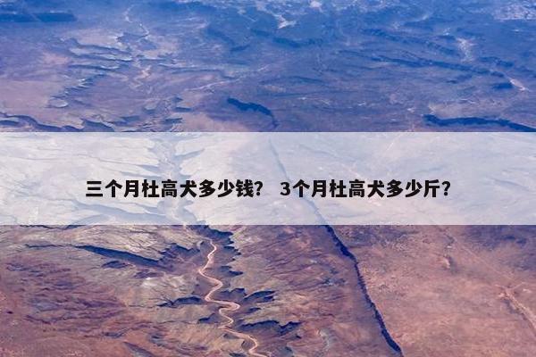 三个月杜高犬多少钱？ 3个月杜高犬多少斤？