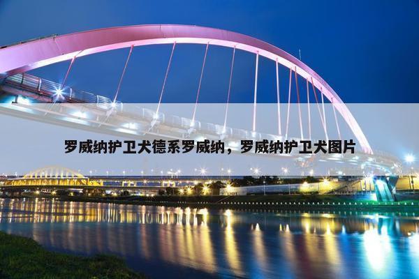 罗威纳护卫犬德系罗威纳,罗威纳护卫犬图片 罗威纳护卫犬德系罗威纳,罗威纳护卫犬图片