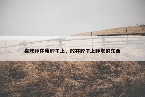 喜欢睡在我脖子上,放在脖子上睡觉的东西 喜欢睡在我脖子上,放在脖子上睡觉的东西