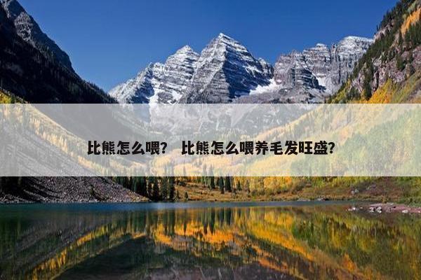 比熊怎么喂? 比熊怎么喂养毛发旺盛? 比熊怎么喂? 比熊怎么喂养毛发旺盛?