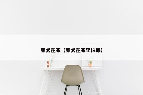 柴犬在家（柴犬在家里拉尿）