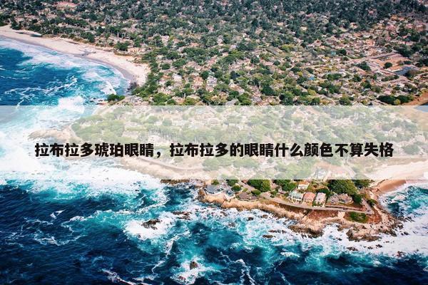 拉布拉多琥珀眼睛,拉布拉多的眼睛什么颜色不算失格 拉布拉多琥珀眼睛,拉布拉多的眼睛什么颜色不算失格