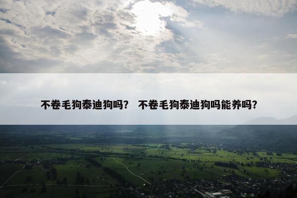 不卷毛狗泰迪狗吗？ 不卷毛狗泰迪狗吗能养吗？