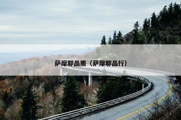 萨摩耶品质(萨摩耶品行) 萨摩耶品质(萨摩耶品行)