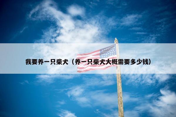 我要养一只柴犬(养一只柴犬大概需要多少钱) 我要养一只柴犬(养一只柴犬大概需要多少钱)