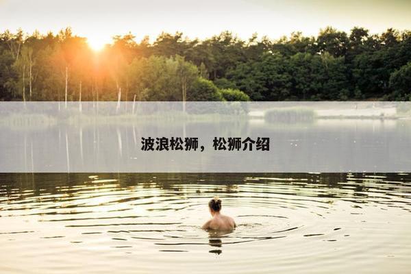 波浪松狮,松狮介绍 波浪松狮,松狮介绍