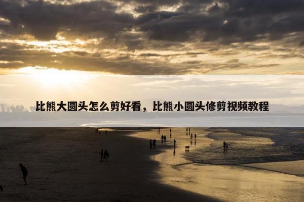 比熊大圆头怎么剪好看,比熊小圆头修剪视频教程 比熊大圆头怎么剪好看,比熊小圆头修剪视频教程