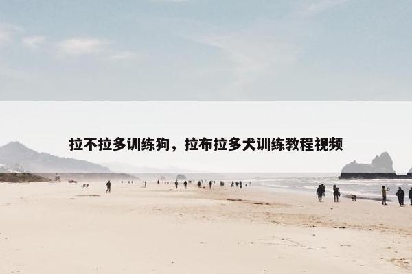拉不拉多训练狗,拉布拉多犬训练教程视频 拉不拉多训练狗,拉布拉多犬训练教程视频