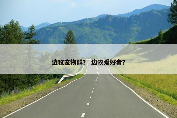 边牧宠物群? 边牧爱好者? 边牧宠物群? 边牧爱好者?