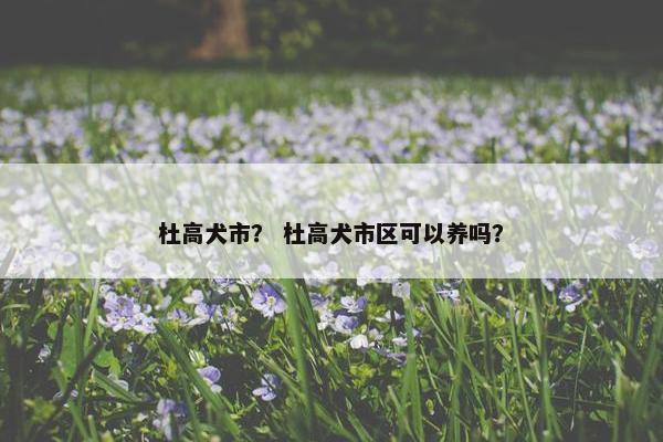 杜高犬市? 杜高犬市区可以养吗? 杜高犬市? 杜高犬市区可以养吗?