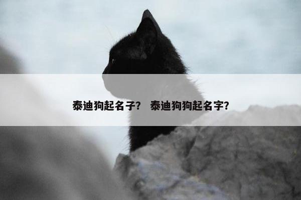 泰迪狗起名子？ 泰迪狗狗起名字？