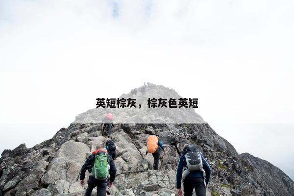 英短棕灰,棕灰色英短 英短棕灰,棕灰色英短