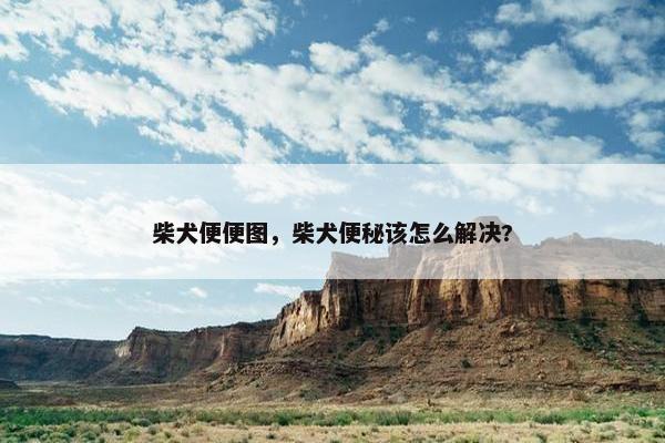 柴犬便便图,柴犬便秘该怎么解决? 柴犬便便图,柴犬便秘该怎么解决?