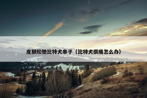 皮肤松弛比特犬串子(比特犬很瘦怎么办) 皮肤松弛比特犬串子(比特犬很瘦怎么办)