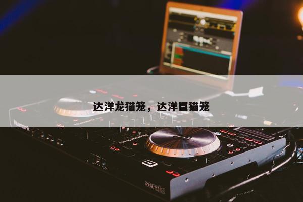 达洋龙猫笼,达洋巨猫笼 达洋龙猫笼,达洋巨猫笼