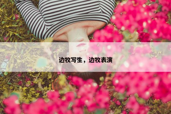 边牧写生,边牧表演 边牧写生,边牧表演