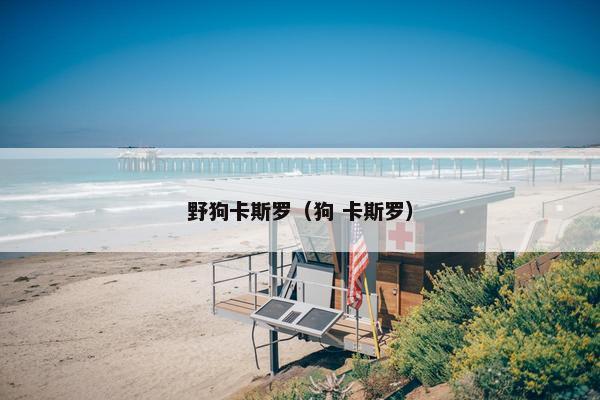 野狗卡斯罗(狗 卡斯罗) 野狗卡斯罗(狗 卡斯罗)