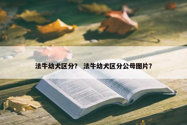 法牛幼犬区分? 法牛幼犬区分公母图片? 法牛幼犬区分? 法牛幼犬区分公母图片?