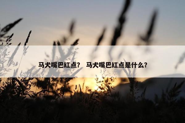 马犬嘴巴红点? 马犬嘴巴红点是什么? 马犬嘴巴红点? 马犬嘴巴红点是什么?
